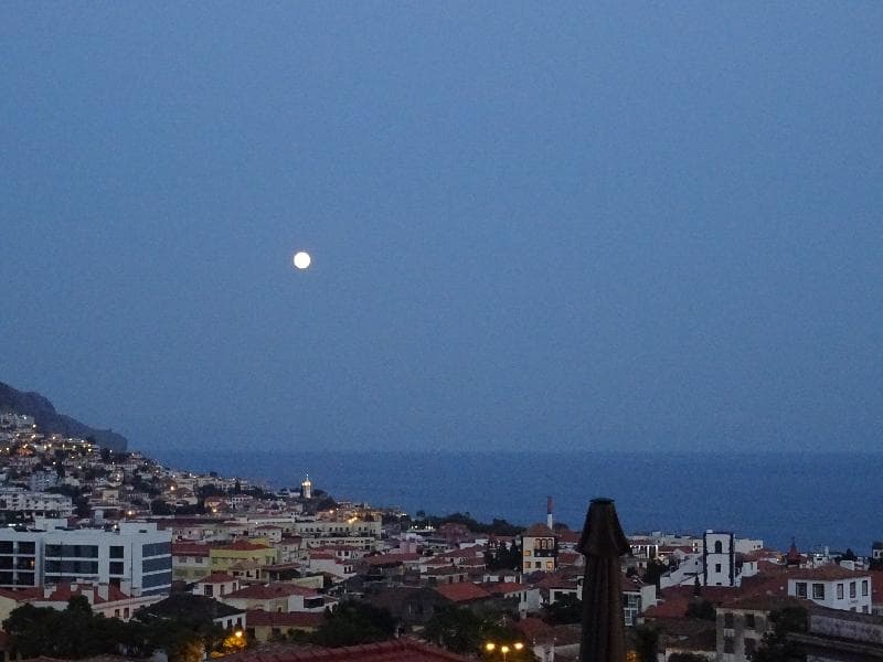 Monte Carlo 2
