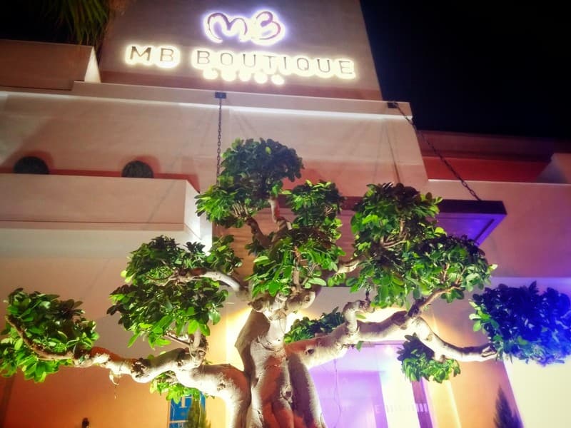 Mb Boutique Hotel - Adult Recommended - 3