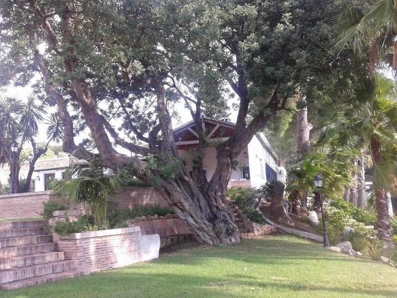 Alhaurin Golf Hotel 5