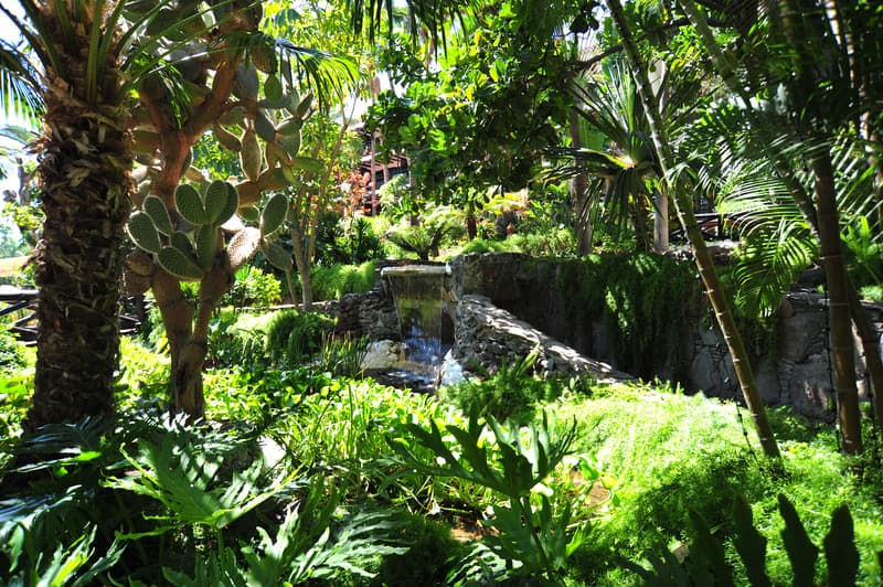 Parque Tropical photo 1