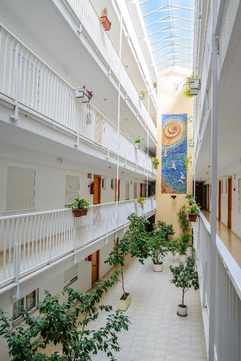 Apartamentos Avenida 3