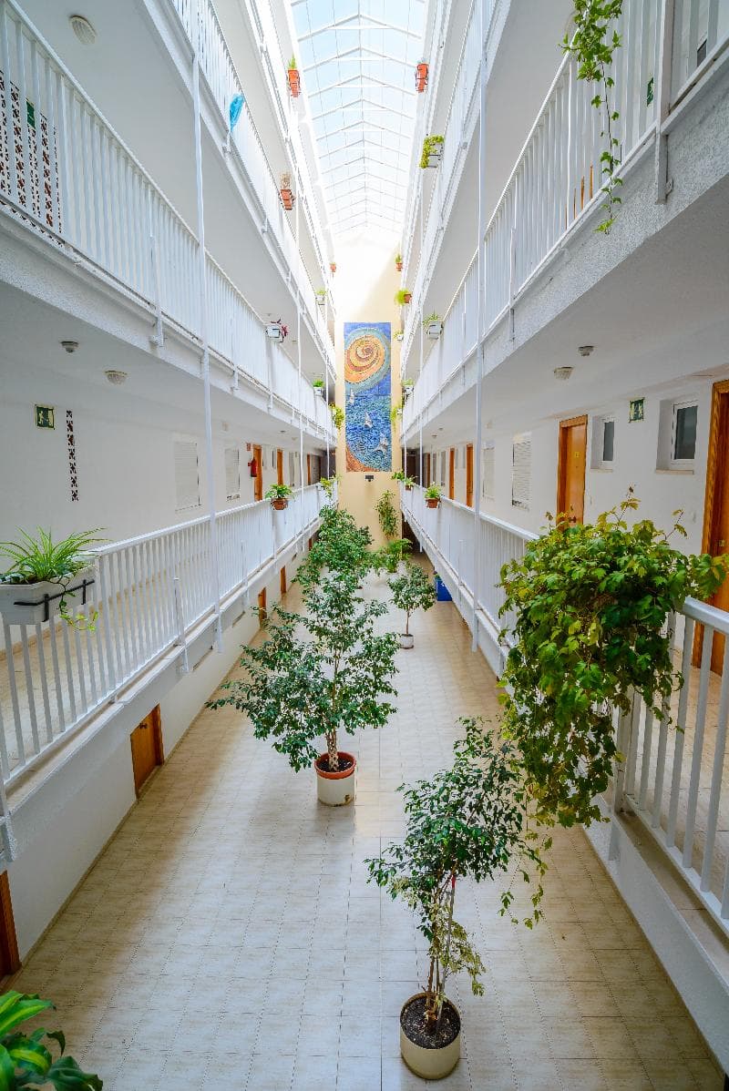 Apartamentos Avenida 5