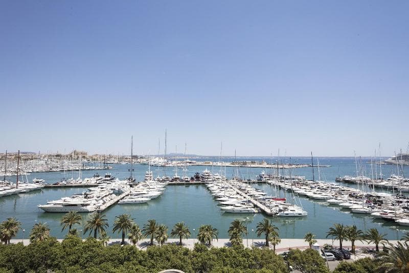 Meliá Palma Marina 4
