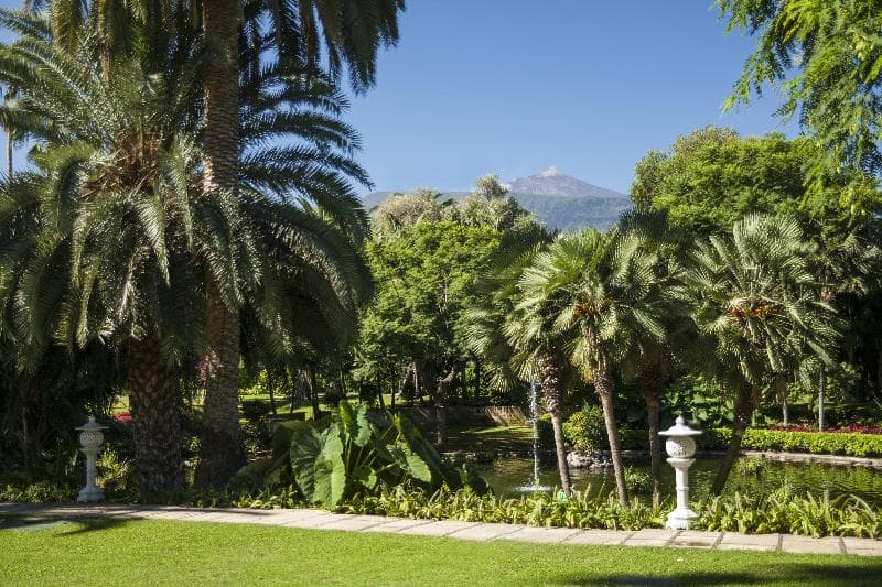 Hotel Botanico and The Oriental Spa Garden 4