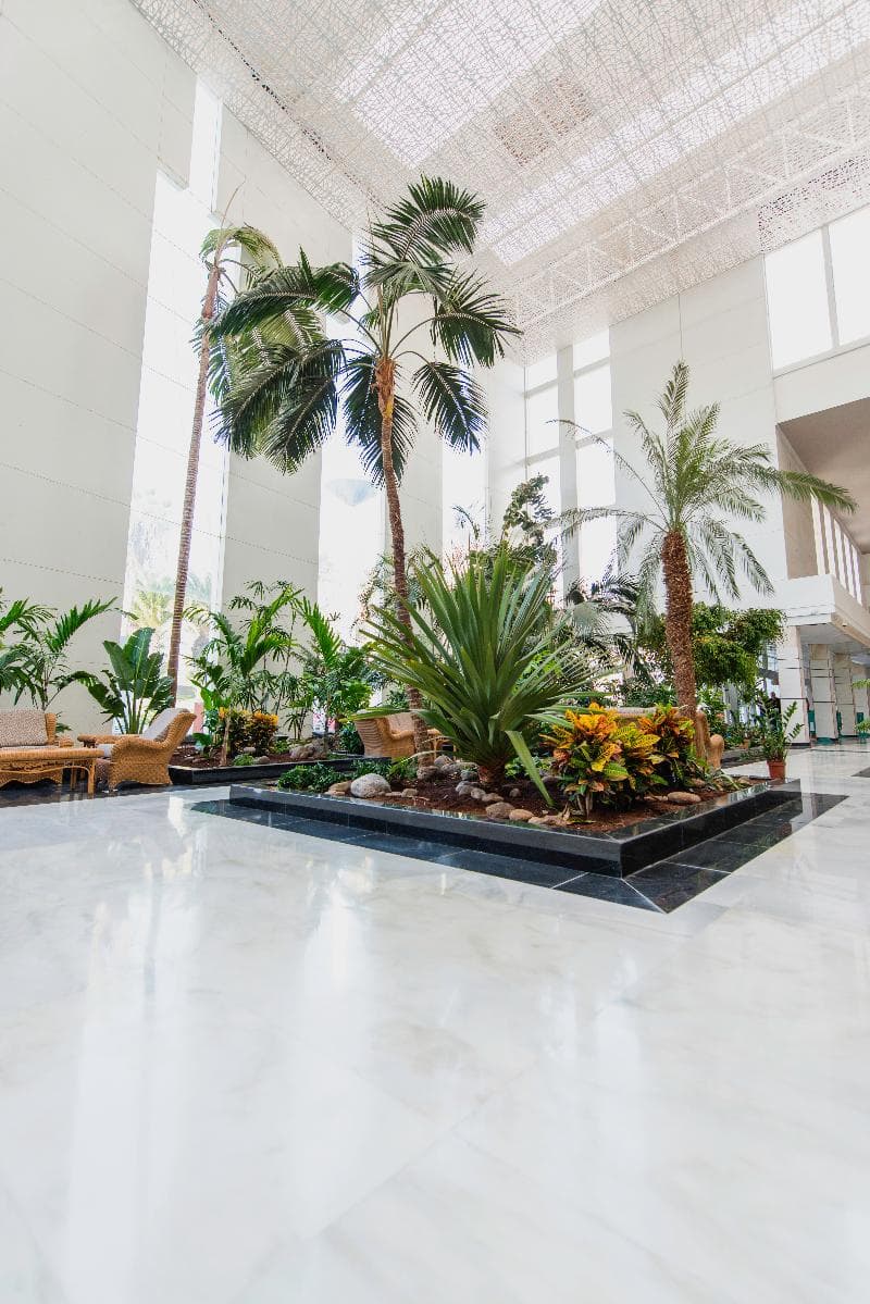 Spring Hotel Vulcano 5