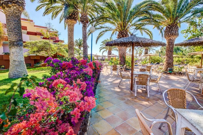 Sbh Fuerteventura Playa - Adults Only photo 1