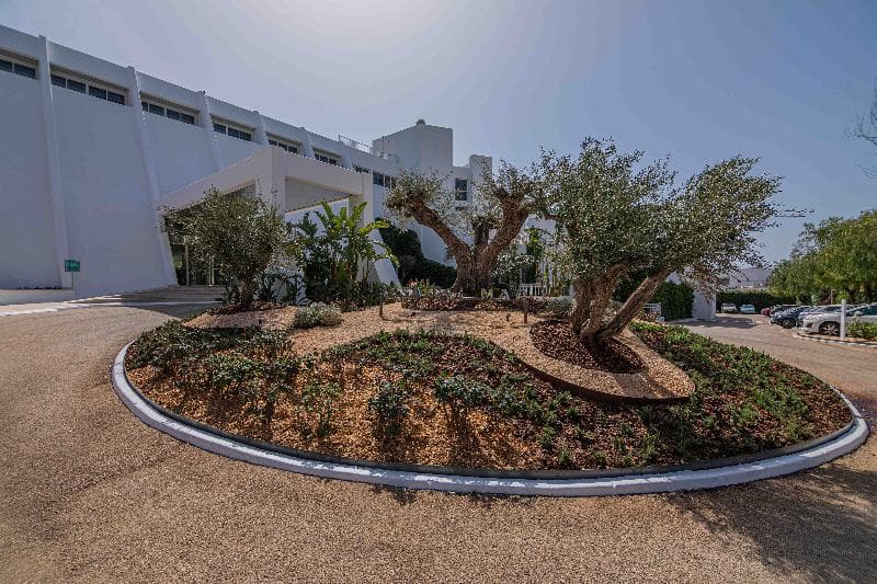 Marsenses Rosa Del Mar Hotel & Spa 5