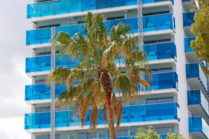 BG Tonga Tower Design Hotel & Suites 2