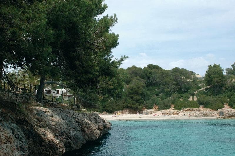 Barcelo Ponent Playa photo 1