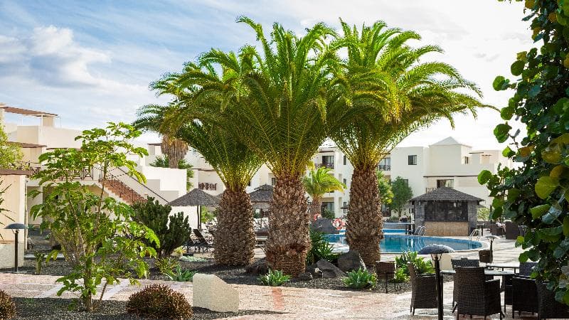 Vitalclass Lanzarote Sport & Wellness Resort 4