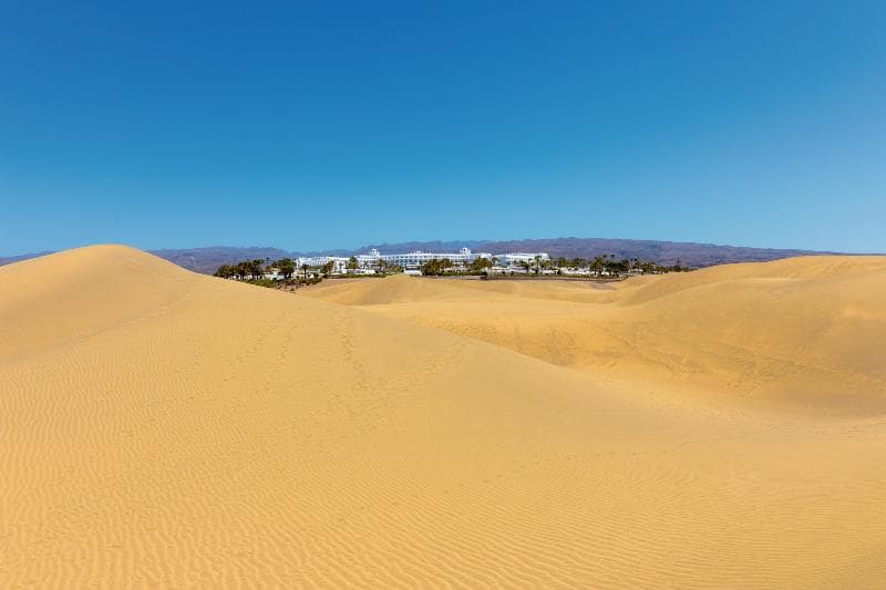 Hotel Riu Palace Maspalomas - Adults Only 3
