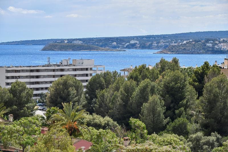 Sallés Hotel Marina Portals 4