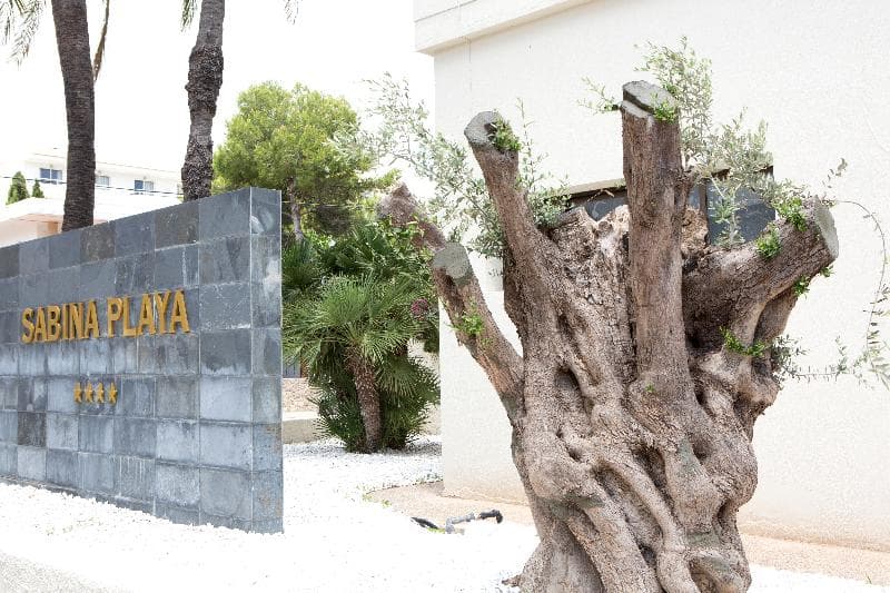 Hotel Sabina Playa Adults Only (+16) photo 1
