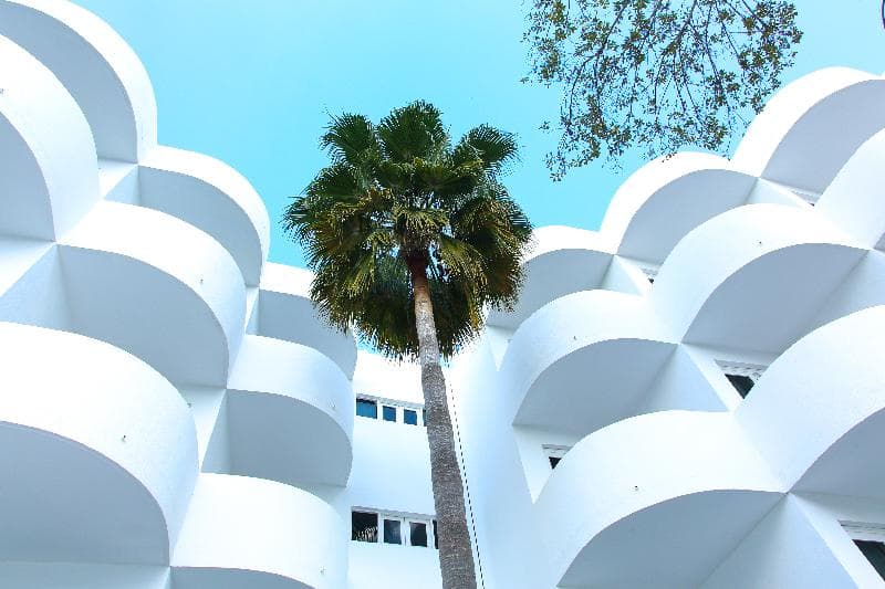 Sentido Fido Tucan - Adults Only 2