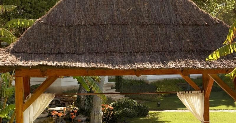 Don Pepe A Gran Melia hotel 5