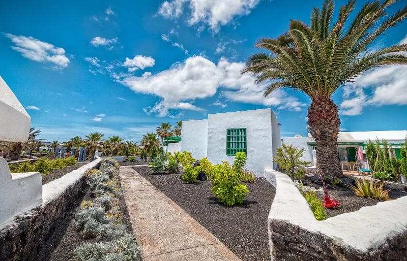Apartamentos LIVVO Las Gaviotas 4
