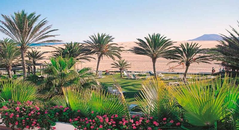 Riu Oliva Beach Resort 4