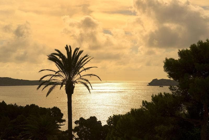 ME Ibiza 5