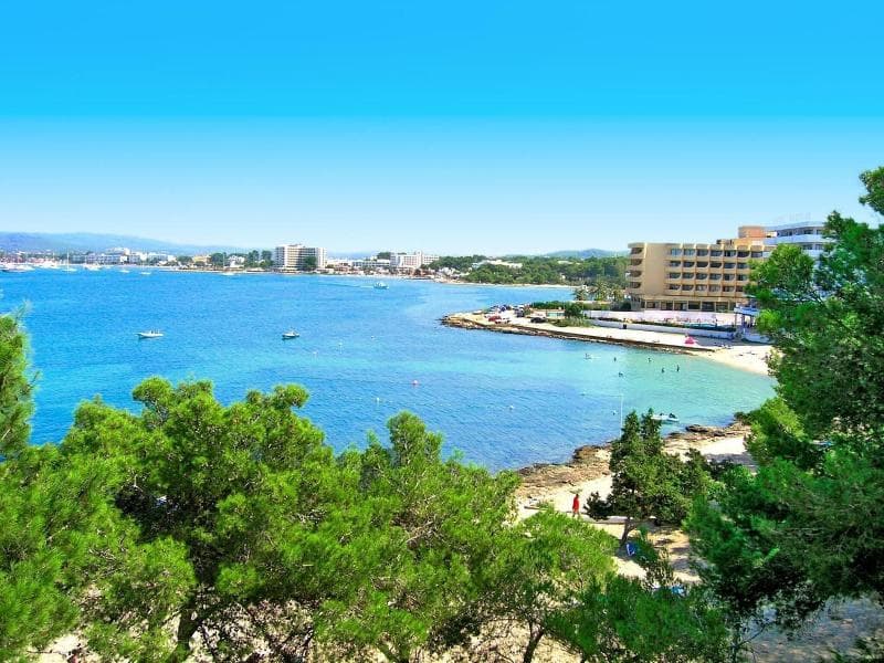 Els Pins Resort & Spa 3