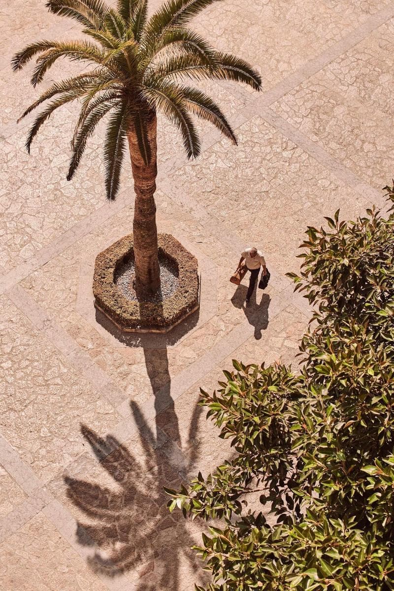 Castillo Hotel Son Vida, a Luxury Collection Hotel, Mallorca - Adults Only 5