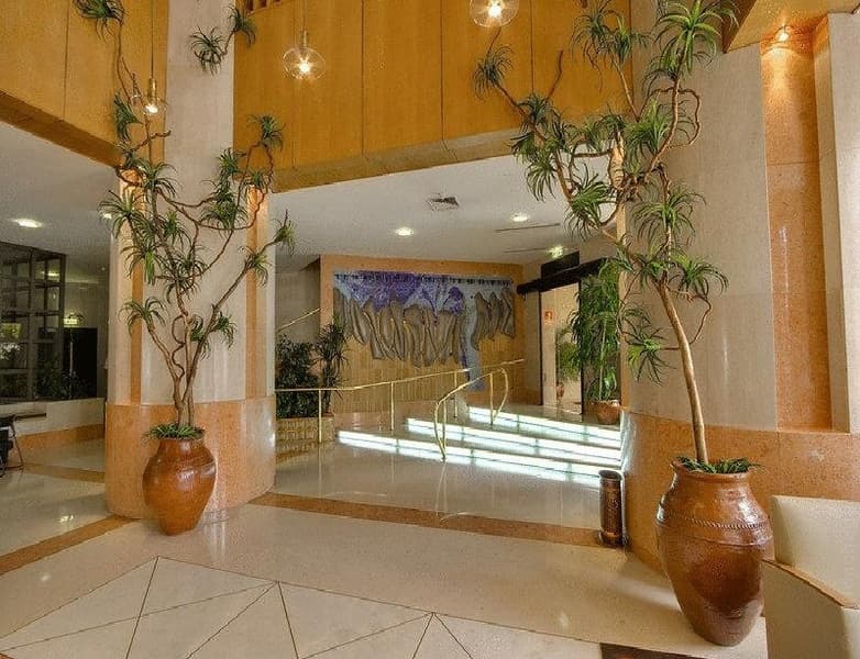 Alif Campo Pequeno (Adults only) 5