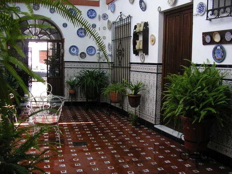 Maestre 4