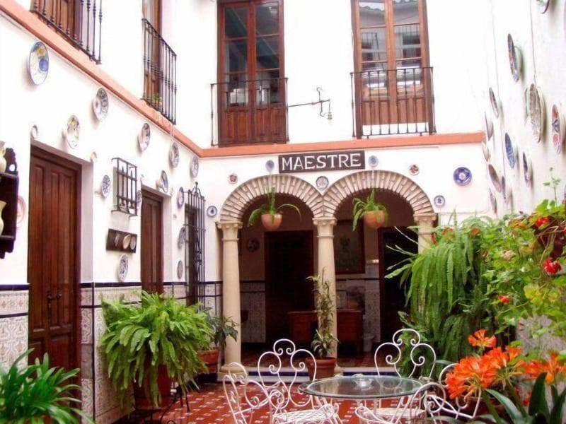 Maestre photo 1