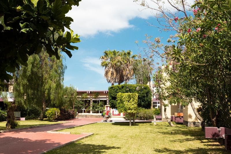 Hotel Palia Don Pedro 2