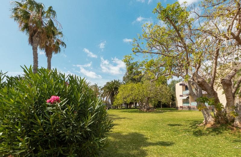 Hotel Palia Don Pedro 4