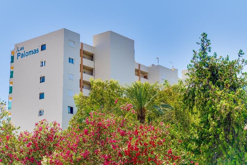 Econotel Las Palomas 2