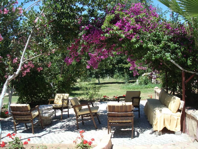 Neptün Hotel 3