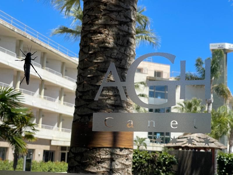Agh Canet photo 1