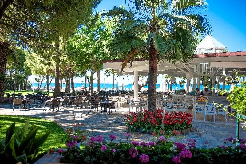 Barut Hemera 3