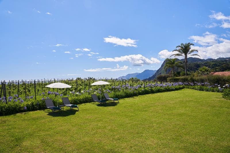 Quinta do Furão 2