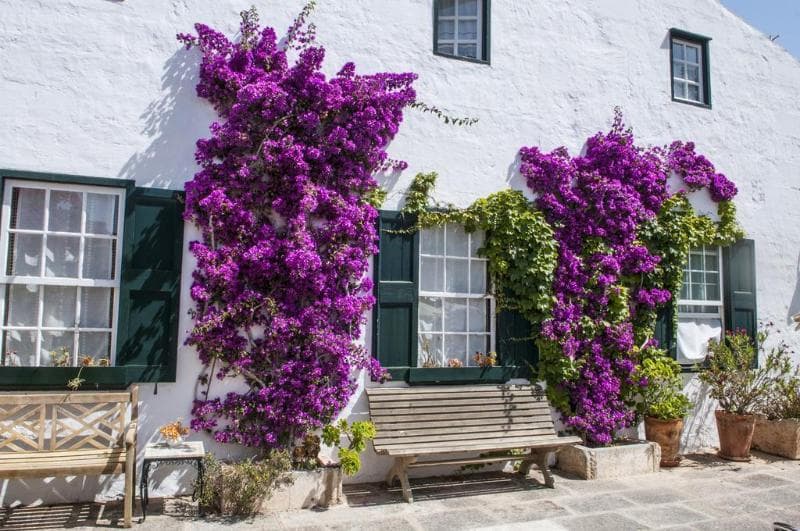 Hotel Rural Biniarroca - Adults Only 5