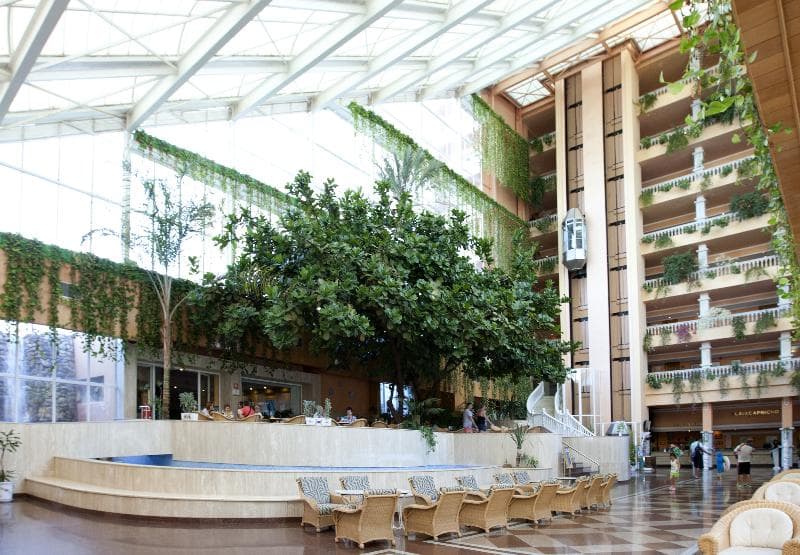 Playacapricho Hotel 4