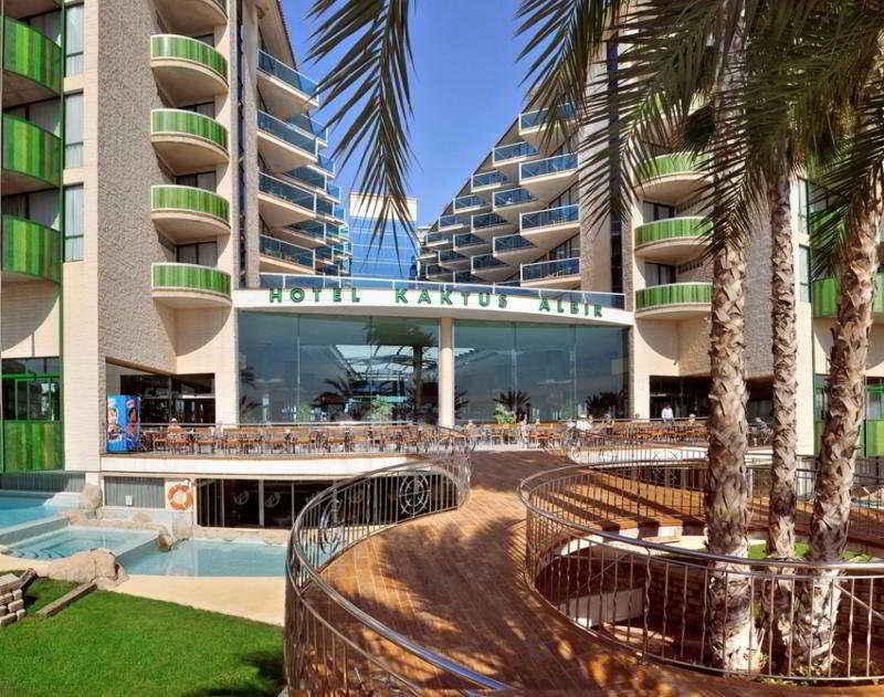 Kaktus Albir 2
