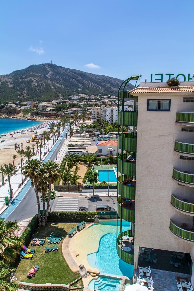Kaktus Albir photo 1