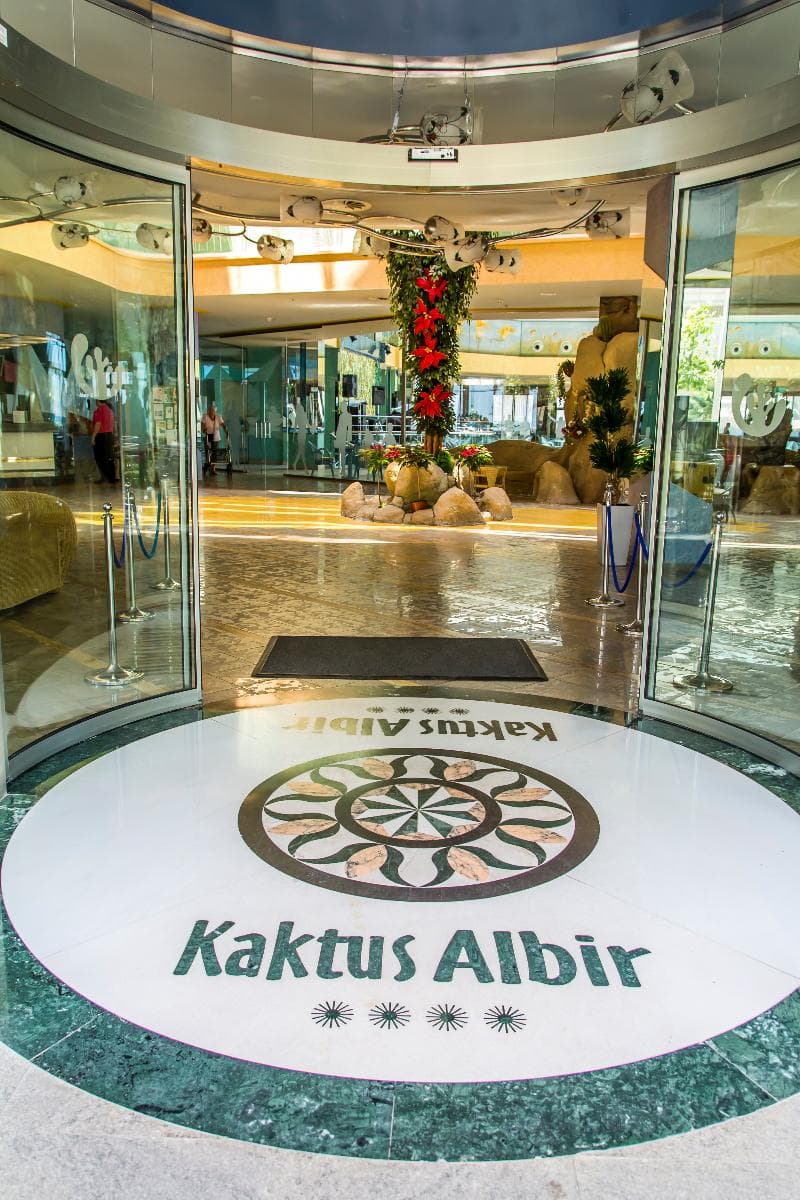 Kaktus Albir 3