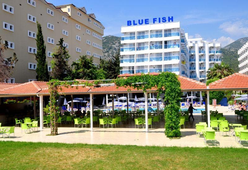 Blue Fish 2