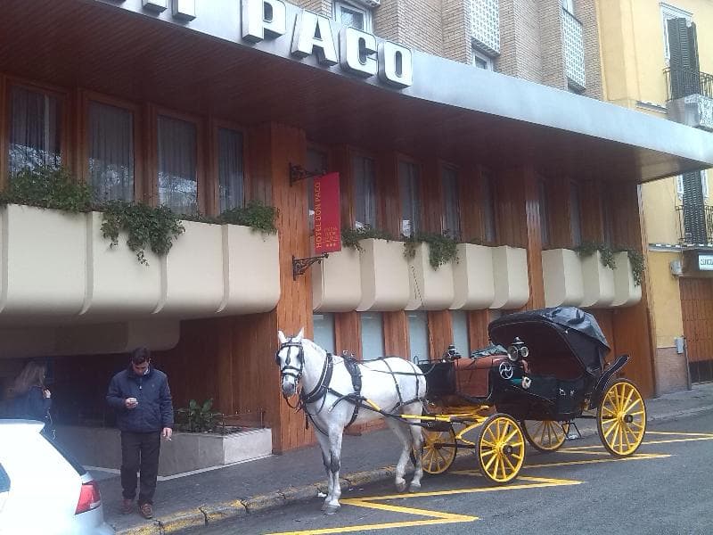 Hotel Don Paco 2