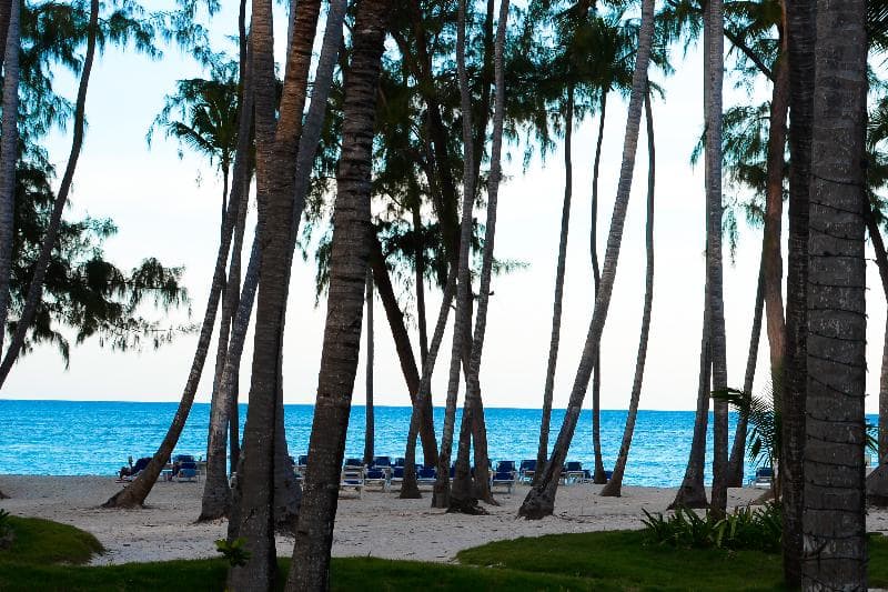 Vista Sol Punta Cana Beach Resort & Spa 2