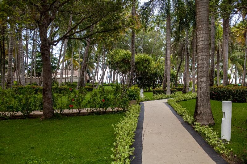 Vista Sol Punta Cana Beach Resort & Spa 3