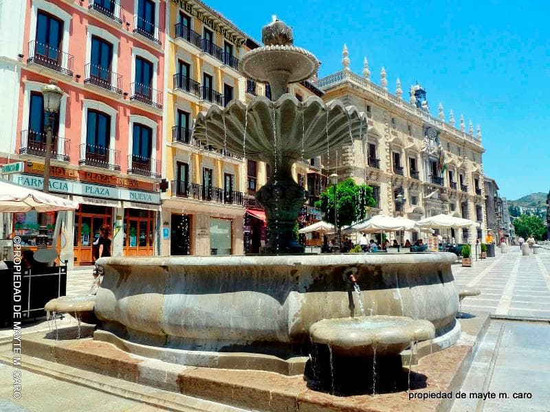 Hotel Plaza Nueva 5