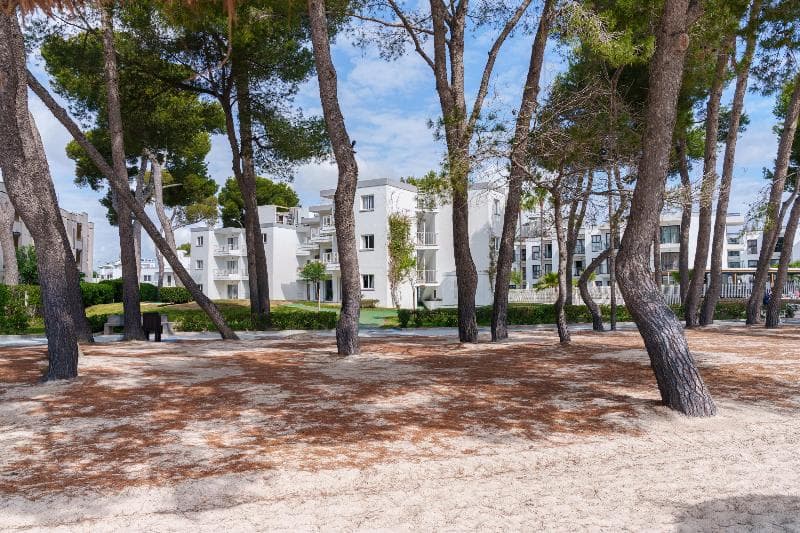 Ferrer Lime Playa De Alcudia 2
