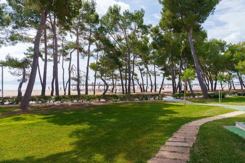 Ferrer Lime Playa De Alcudia 4