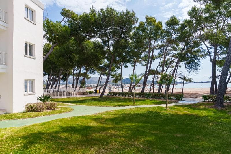 Ferrer Lime Playa De Alcudia 5