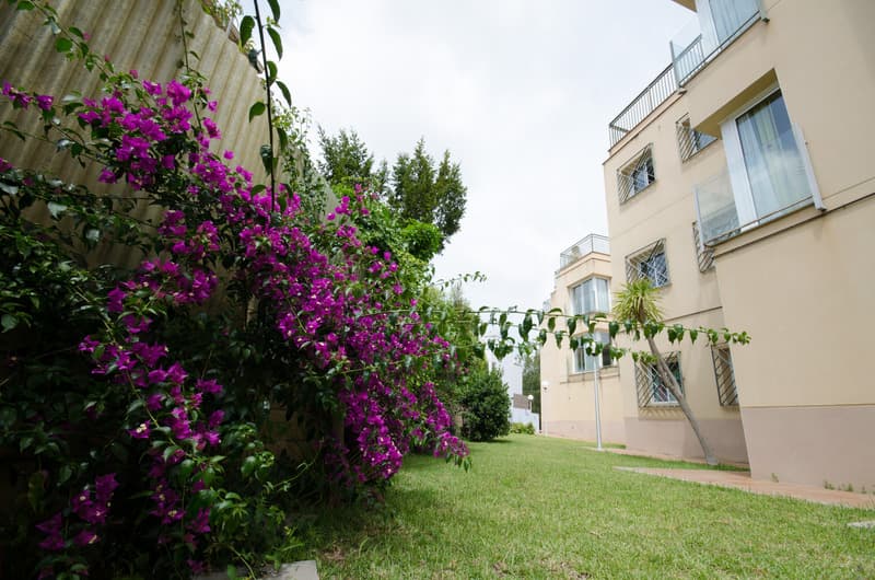 Els Llorers Apartamentos 3