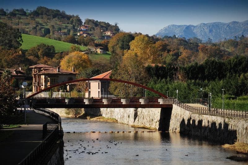 Los Acebos Cangas 3