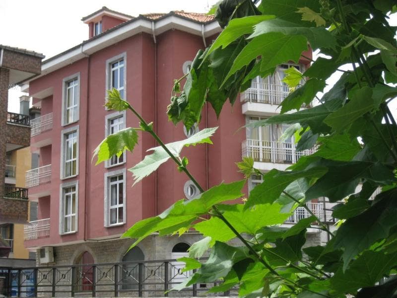 Los Acebos Cangas 4